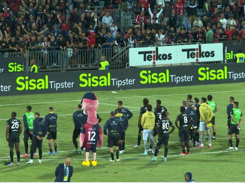 Bring This Tradition To America: An Italian Soccer Team's Giant Flamingo Mascot Joined The Players To Get Scolded By Fans After Losing 4-0